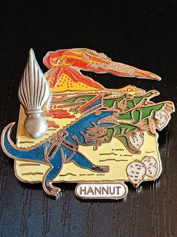 Pin's Vintage Hannut, Collections, Envoi, Comme neuf, Animal et Nature, Insigne ou Pin's