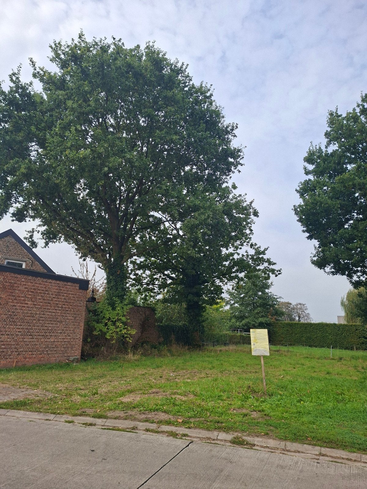 eiken stammen, Tuin en Terras, Ophalen