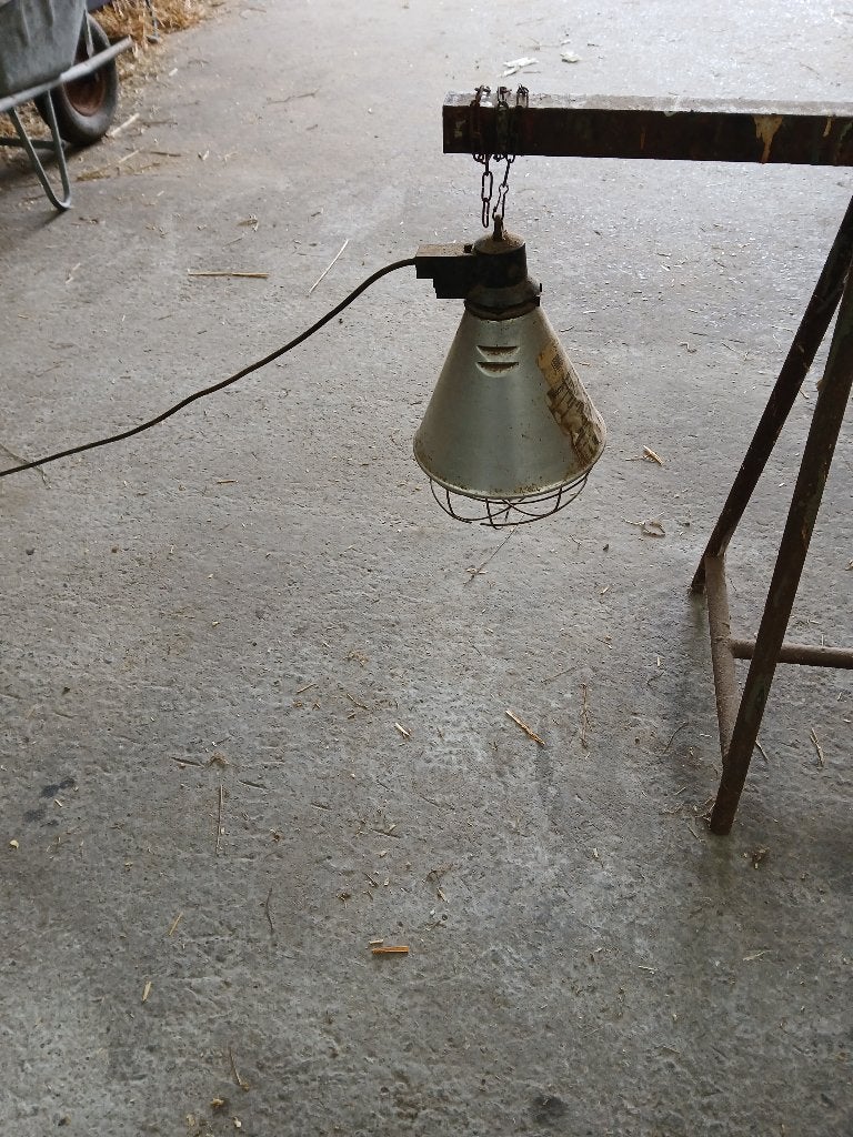 lampkap voor infrarood lamp, Ophalen, Zo goed als nieuw