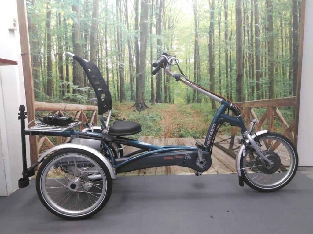 Tricycle recherché : Van Raam Easy Rider, etc., Enlèvement ou Envoi, Utilisé