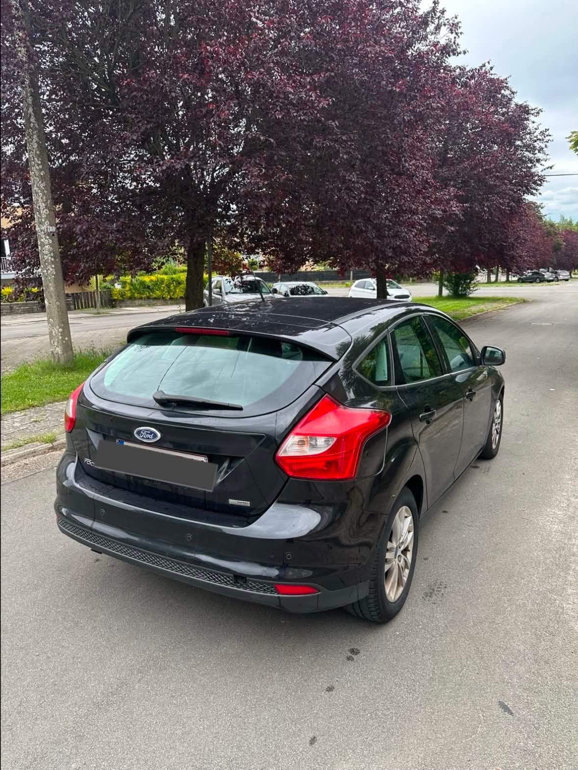 Ford Focus 1.6 Tdci prete à immatriculer, Focus, Euro 5, Entreprise, Boîte manuelle