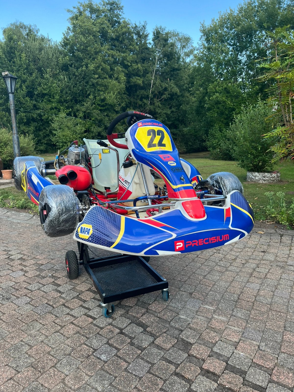 Birel Tm Kz, Enlèvement, Comme neuf, Kart