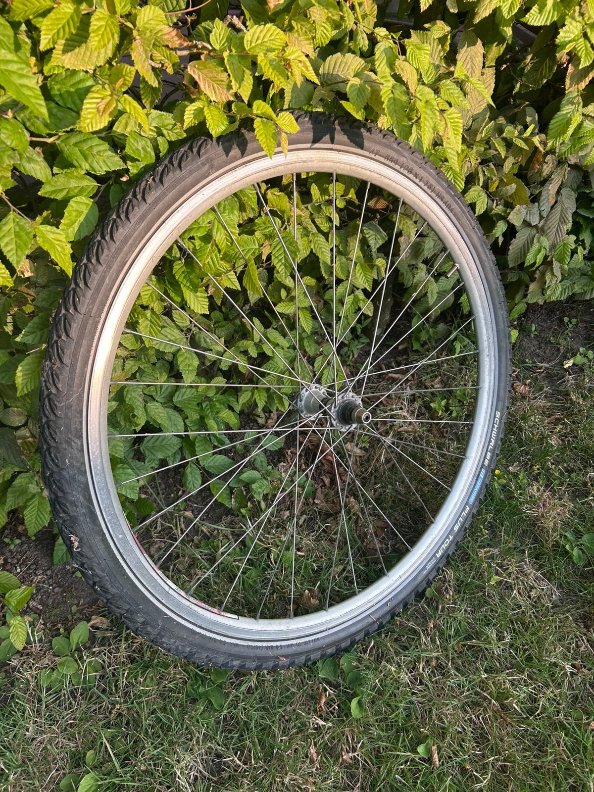 Wiel, Vélos & Vélomoteurs, Vélos Pièces, Enlèvement, Comme neuf, Roue
