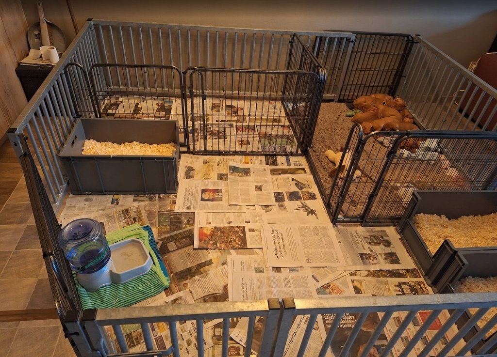 MATERIAAL HONDEN KENNEL, Dieren en Toebehoren, Overige merken, Ophalen, Gebruikt, Werpkist