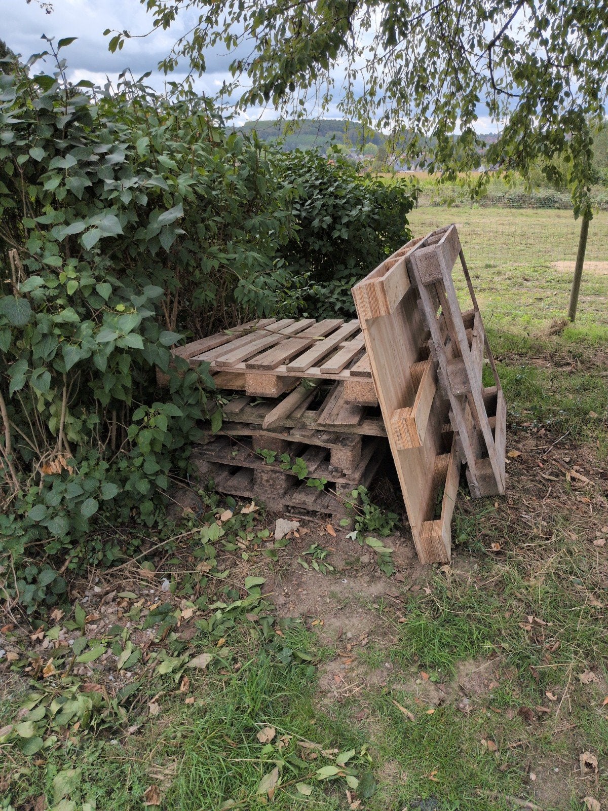 retrait gratuit, palettes, 5 au total, Jardin & Terrasse, Bois de chauffage, Enlèvement