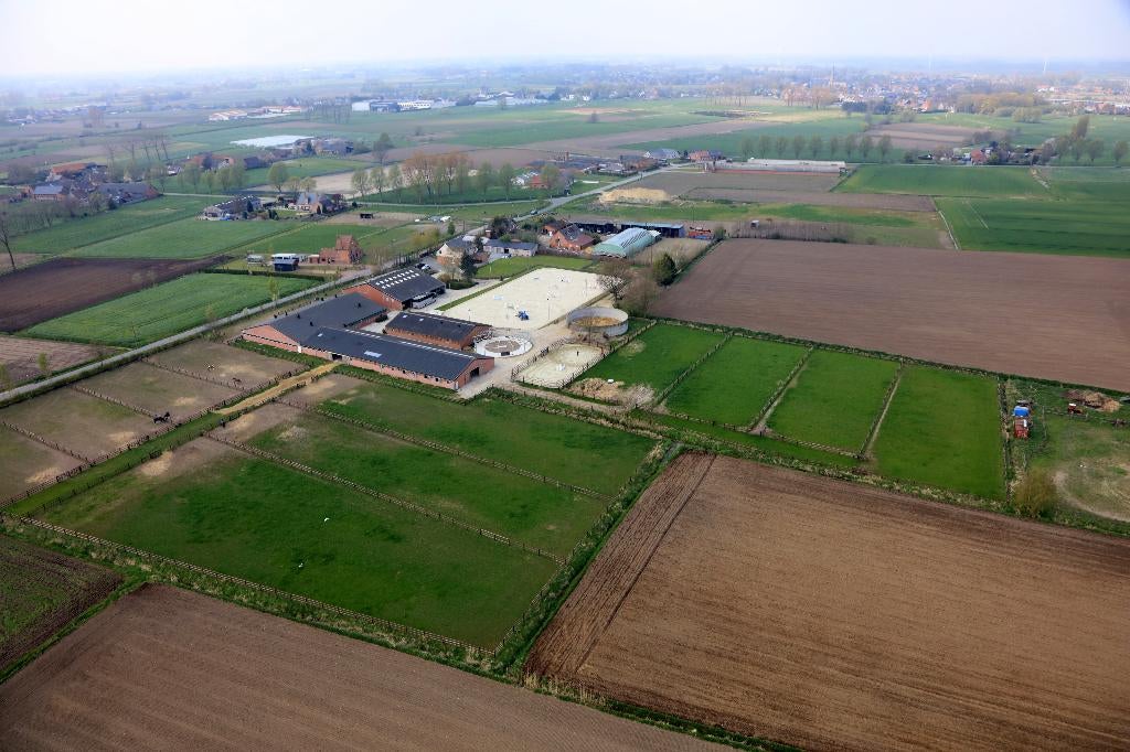 hulp rond de paardenweides en onderhoud stalgebouwen, Weidegang