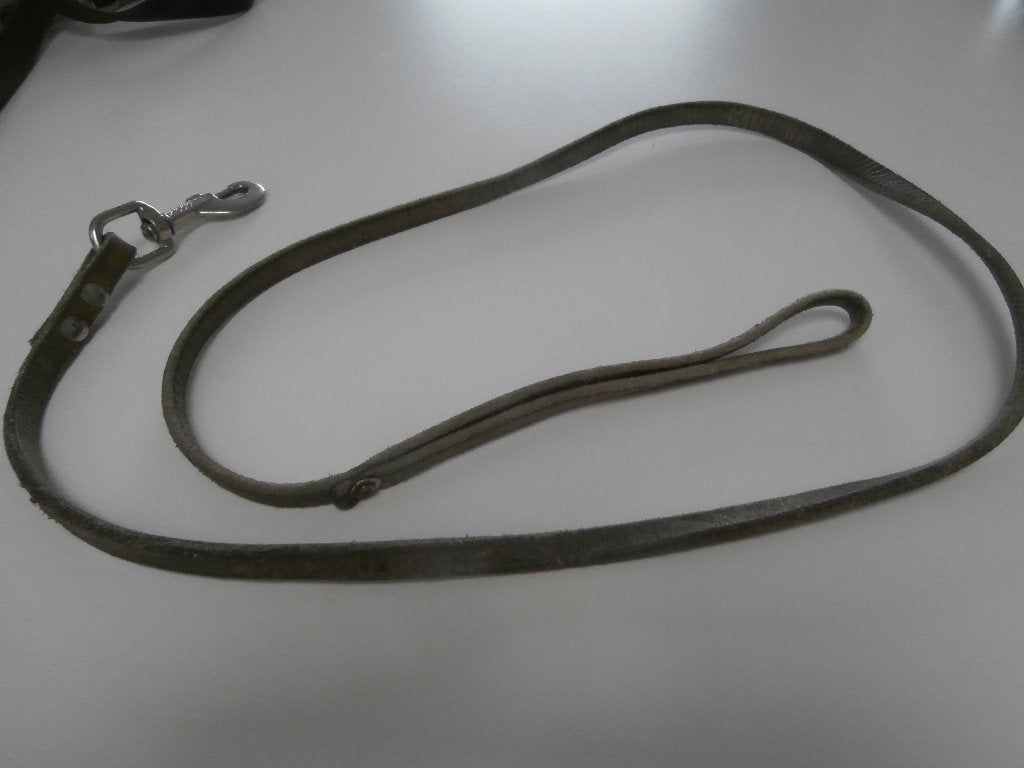 leiband, Dieren en Toebehoren, Ophalen, Gebruikt, Hondenriem