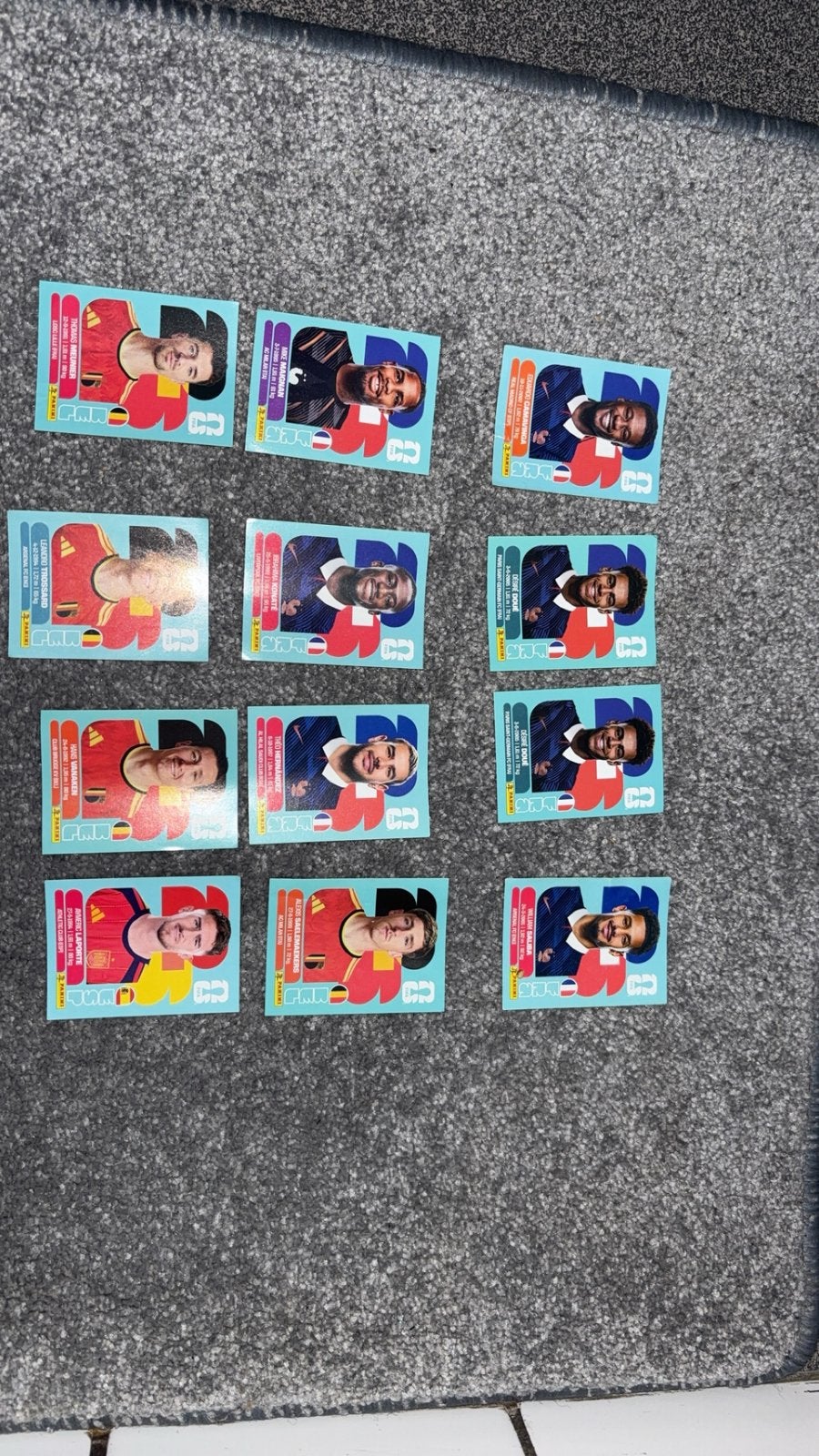Voetbalkaarten panini wk2026, Ophalen, Zo goed als nieuw