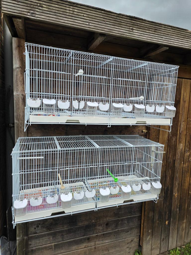 Cages à oiseaux à vendre en bon état