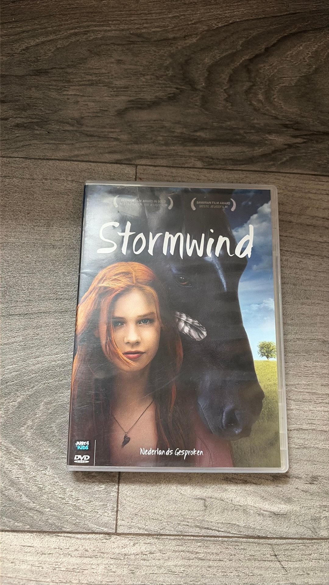 Stormwind DVD, Verzenden, Vanaf 9 jaar, Nederlands, Zo goed als nieuw