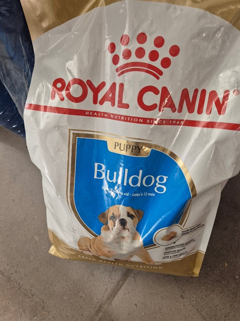 Croquettes royal canin puppy bouldogue anglais, Animaux & Accessoires, Nourriture pour Animaux, Enlèvement, Chien