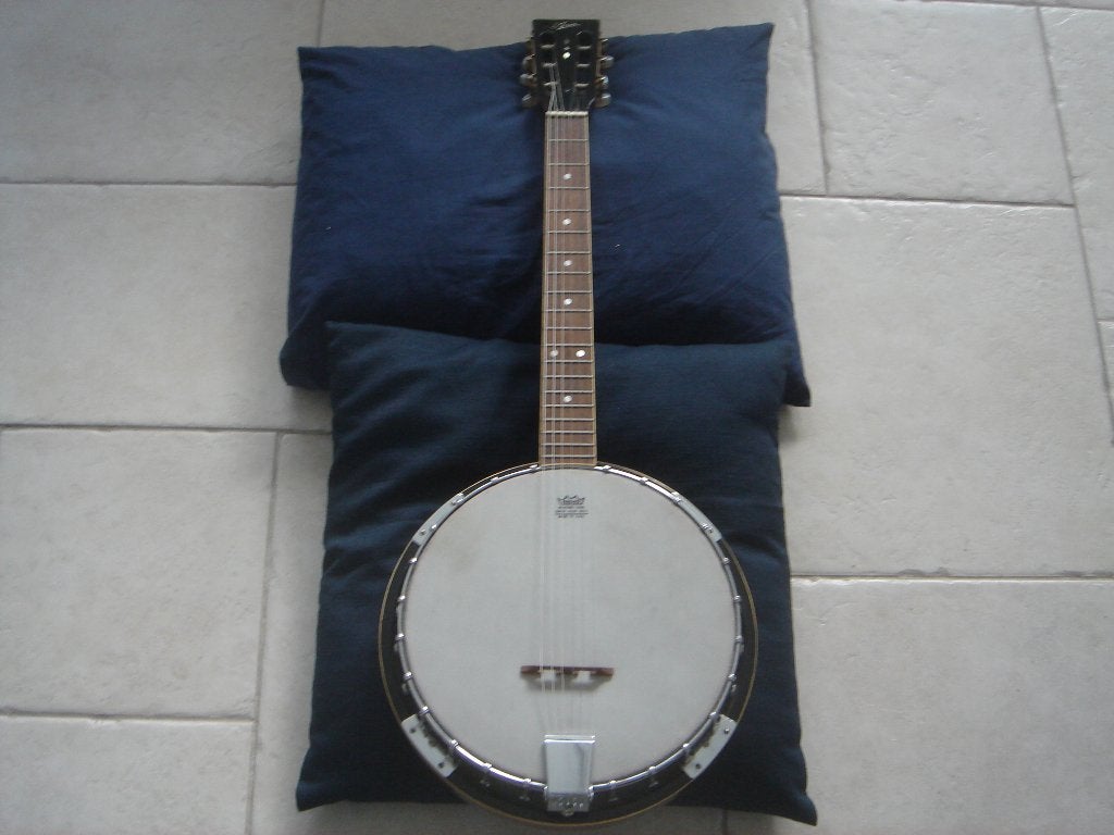 Banjo, Enlèvement, Utilisé, Banjo