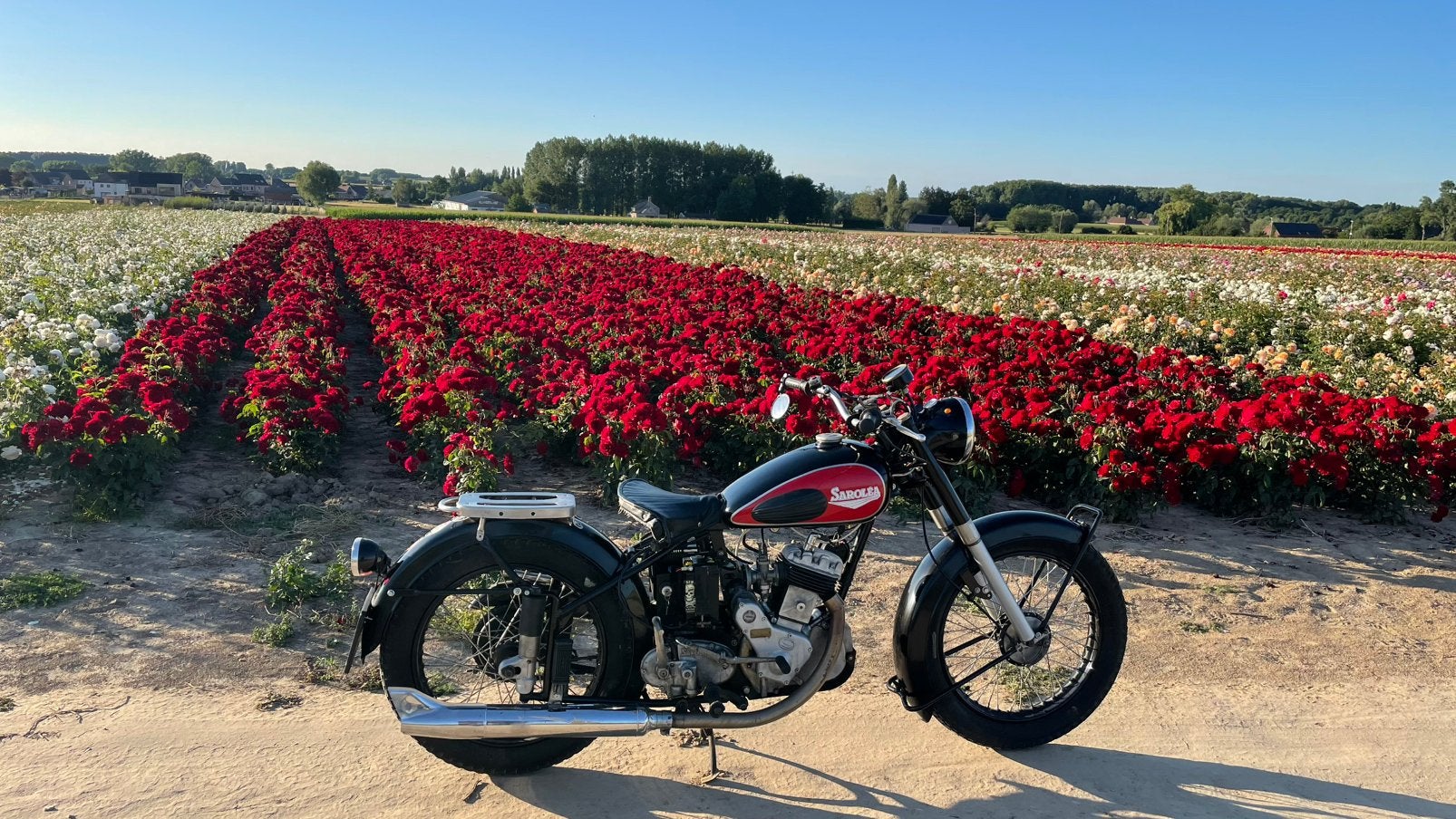 Sarolea 1951