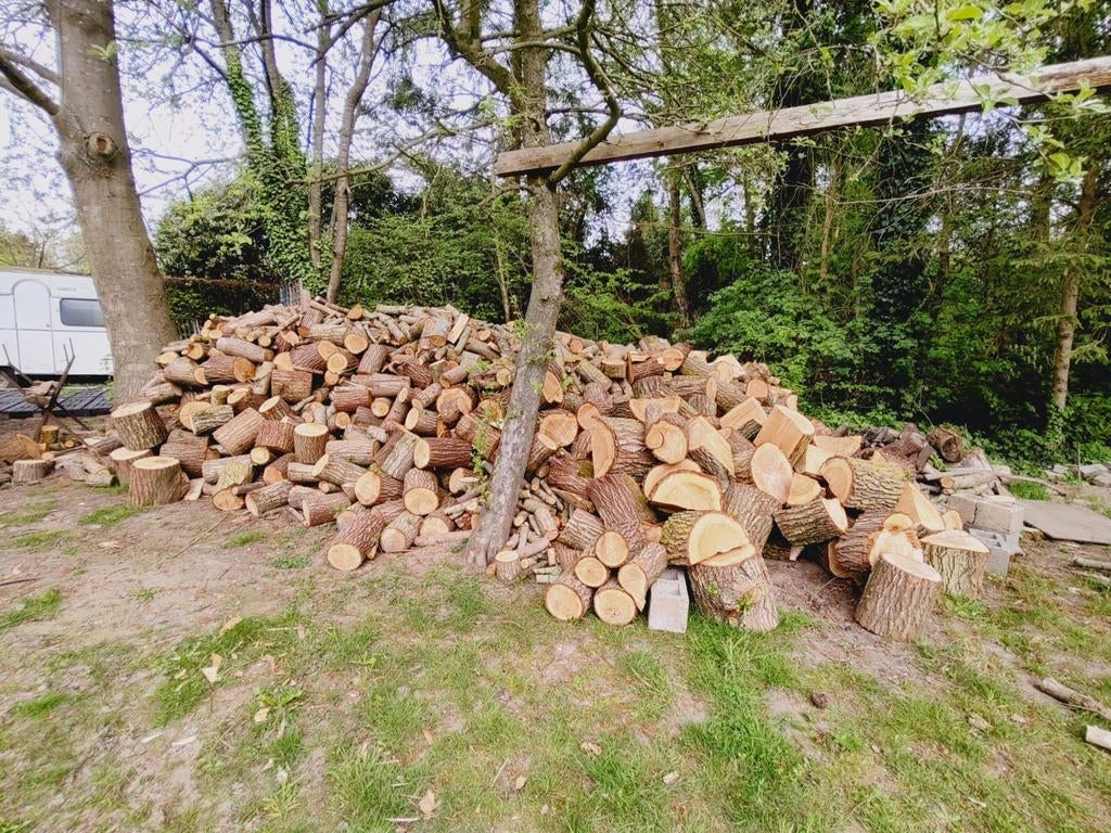 Brandhout wilg, 6 m³ of meer, Ophalen, Overige houtsoorten, Blokken