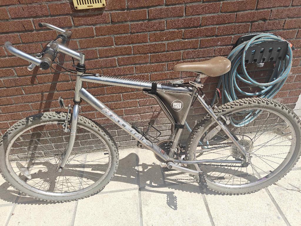 Oude Raleigh fiets / mountainbike., Enlèvement, Utilisé, Hommes, Autres marques