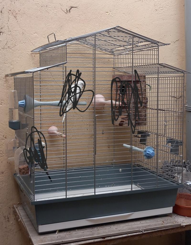 Vogelkooi, Ophalen, Vogelkooi