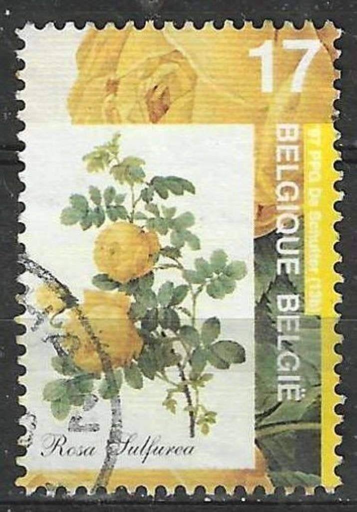 Belgique 1997 - Yvert 2710 /OBP 2709 - Flore - Roses (ST), Timbres & Monnaies, Envoi, Affranchi, Oblitéré