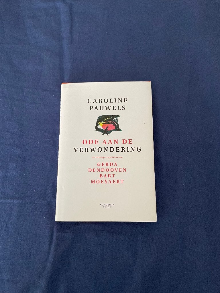 Ode aan de verwondering, Enlèvement, Comme neuf, Caroline Pauwels