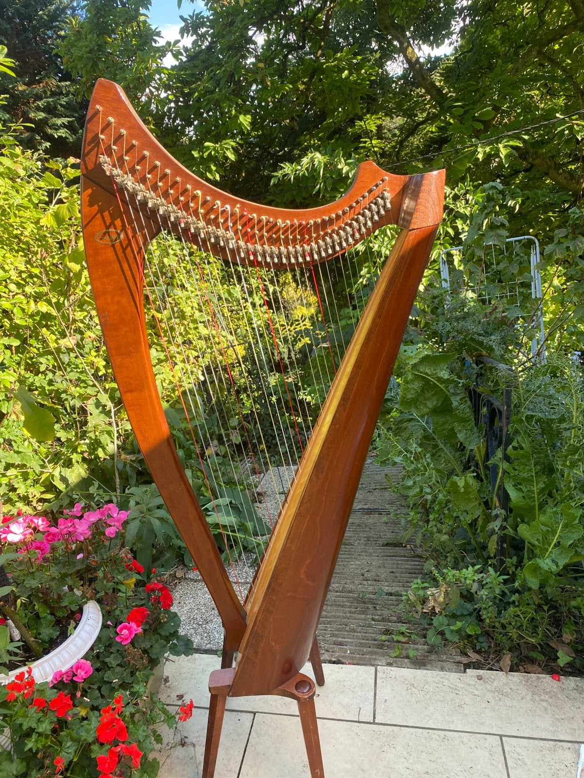 Harpe celtique - Salvi Aida, Musique & Instruments, Enlèvement