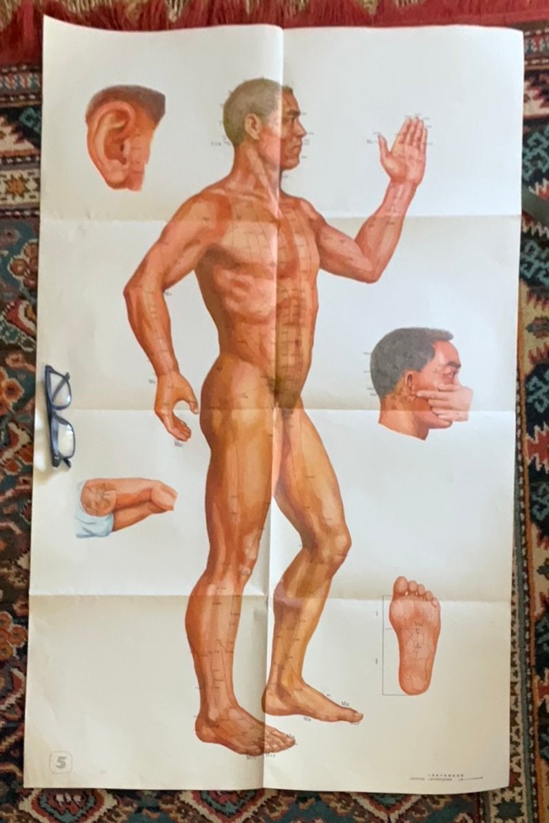 Posters anatomie en acupunctuur, Ophalen of Verzenden