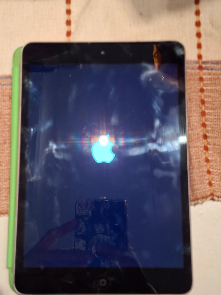 Ipad Mini 2 +++++ pour pièces, Enlèvement, Utilisé, 7 pouces ou moins, Wi-Fi