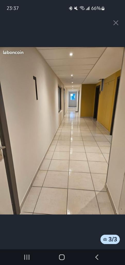 Remise en état,Débarras,fin de chantier,etc, Ophalen