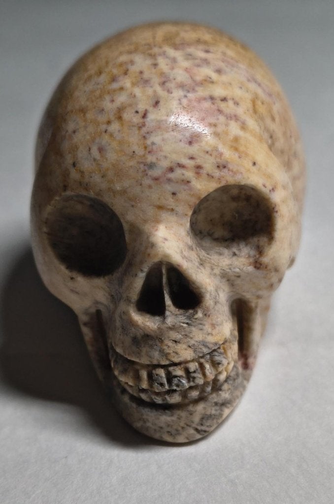 KORAAL Skull, Ophalen of Verzenden