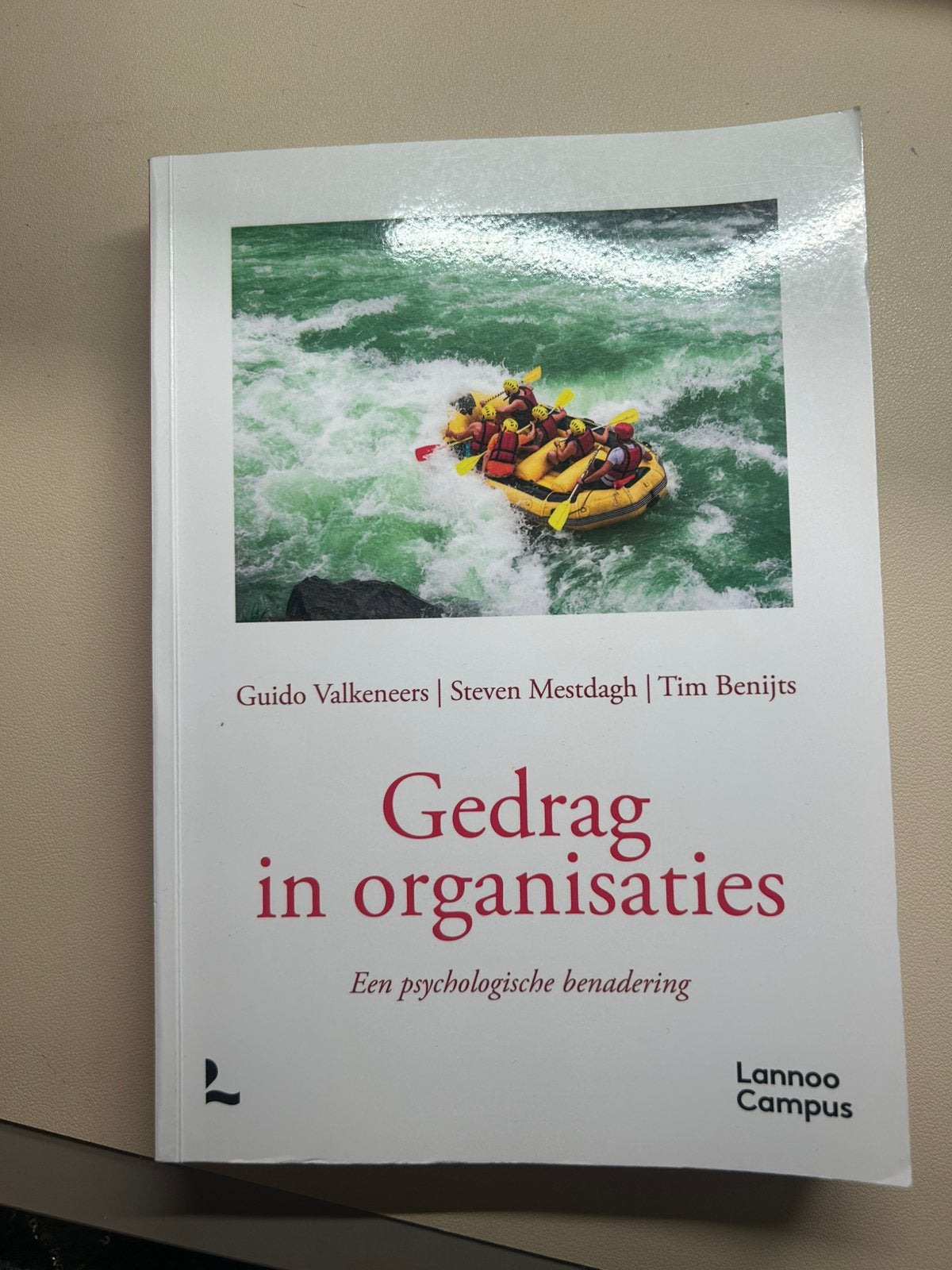 Tim Benijts - Gedrag in organisaties, Envoi, Tim Benijts; Steven Mestdagh; Guido Valkeneers
