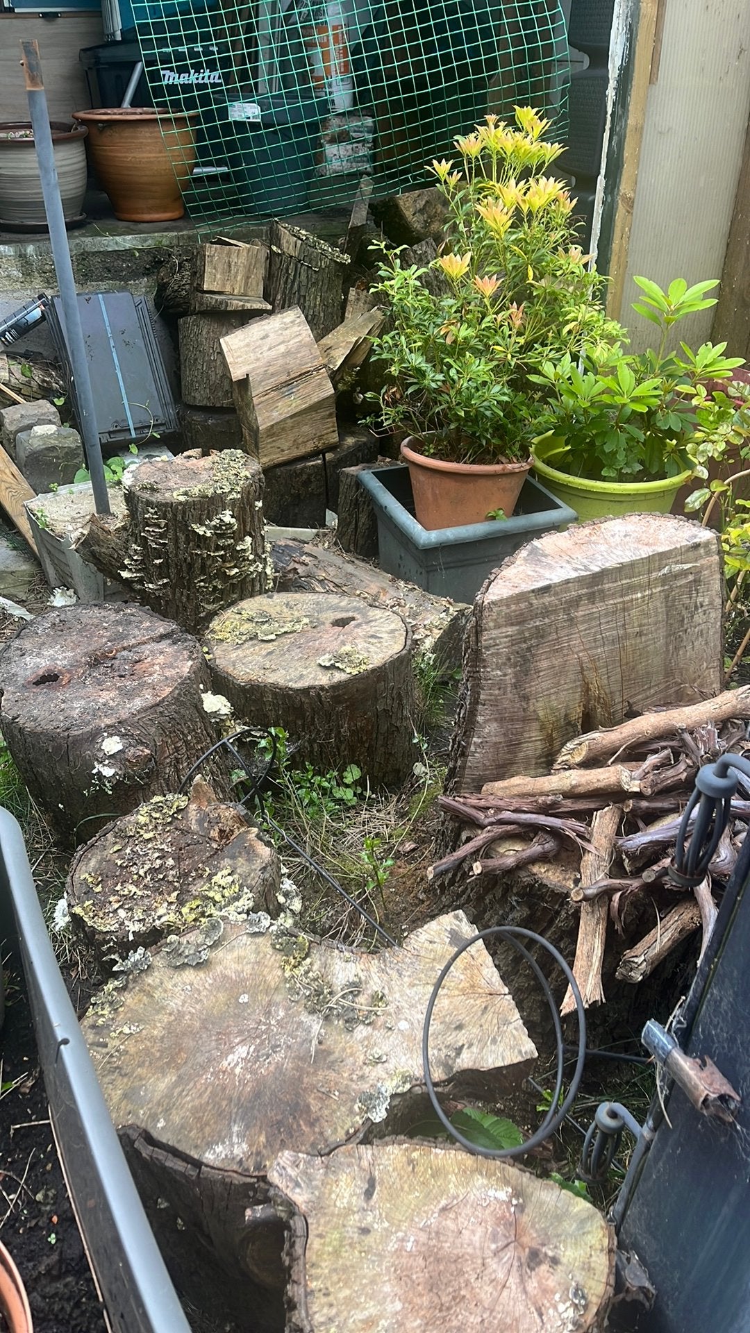 Gratis hout, Ophalen, Zo goed als nieuw, Hout