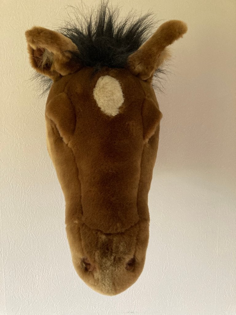 Bruine paardenkop om omhoog te hangen, Overige merken, Bruin, Ophalen of Verzenden, Zo goed als nieuw