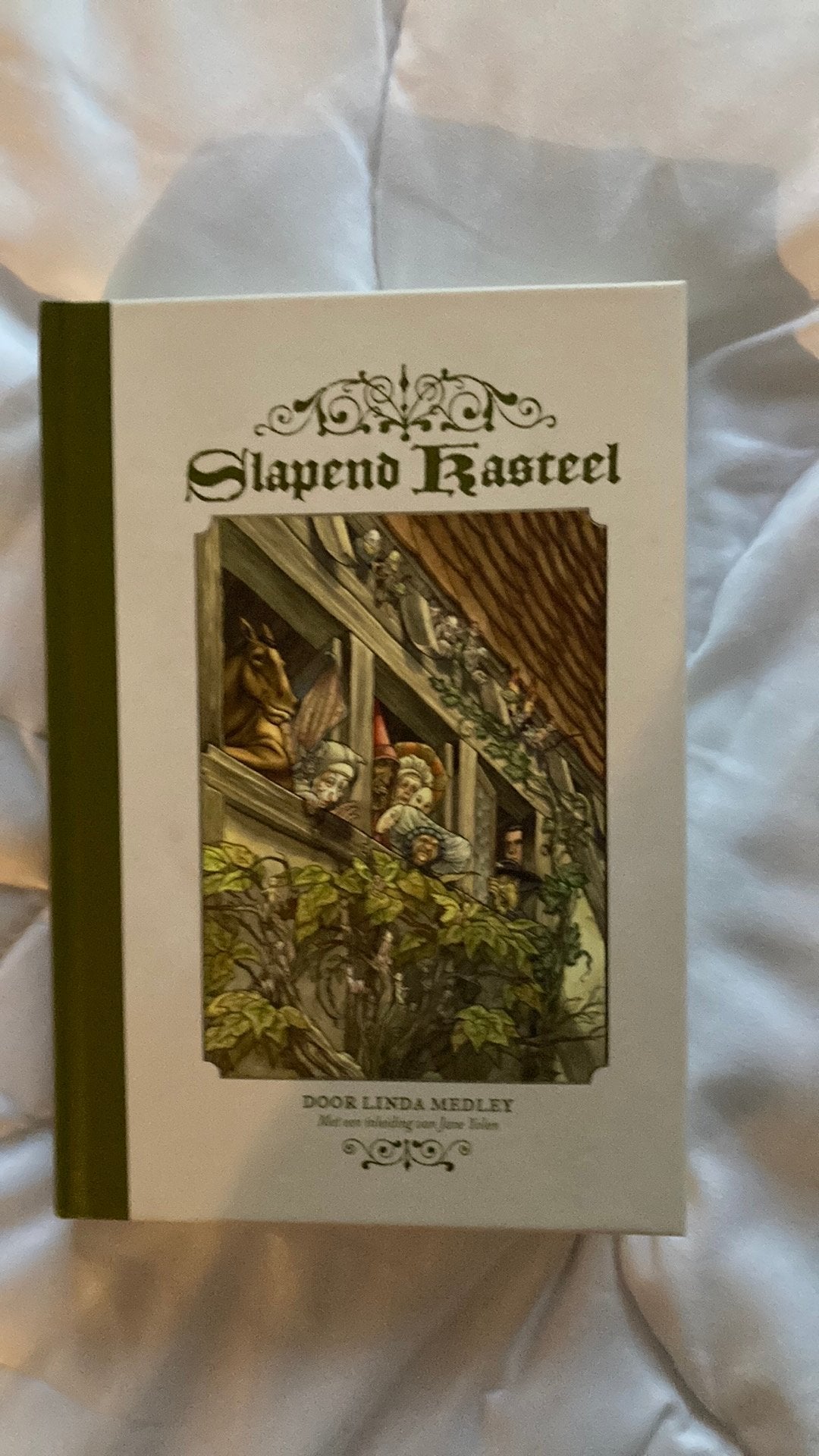 Slapend kasteel linda medley graphic novel, Boeken, Stripverhalen, Ophalen of Verzenden, Zo goed als nieuw