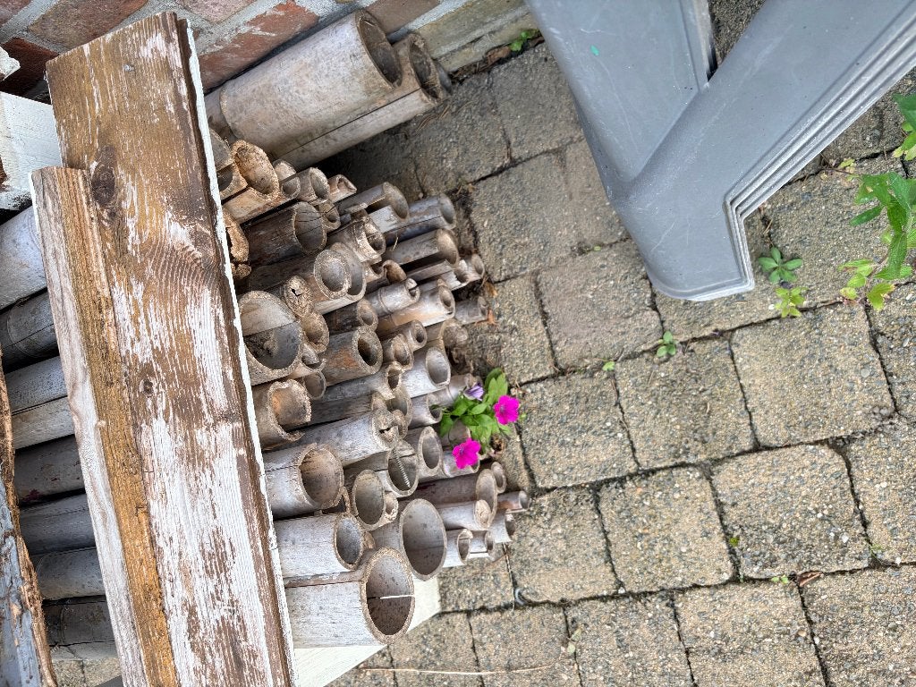 Bamboepalen 2 meter, Tuin en Terras, Ophalen, Gebruikt, Palen, Hardhout