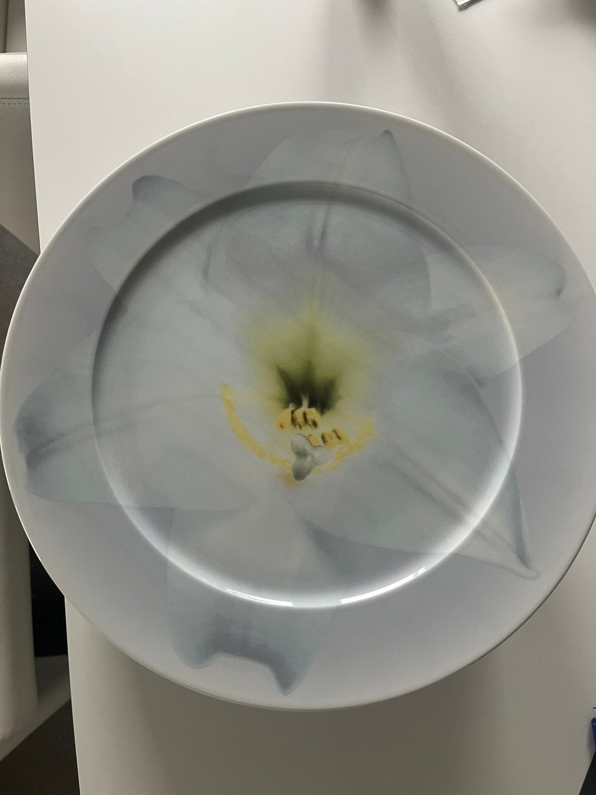 11x Rosenthal Germany porseleinen borden – bloem/orchidee, Huis en Inrichting, Ophalen, Zo goed als nieuw