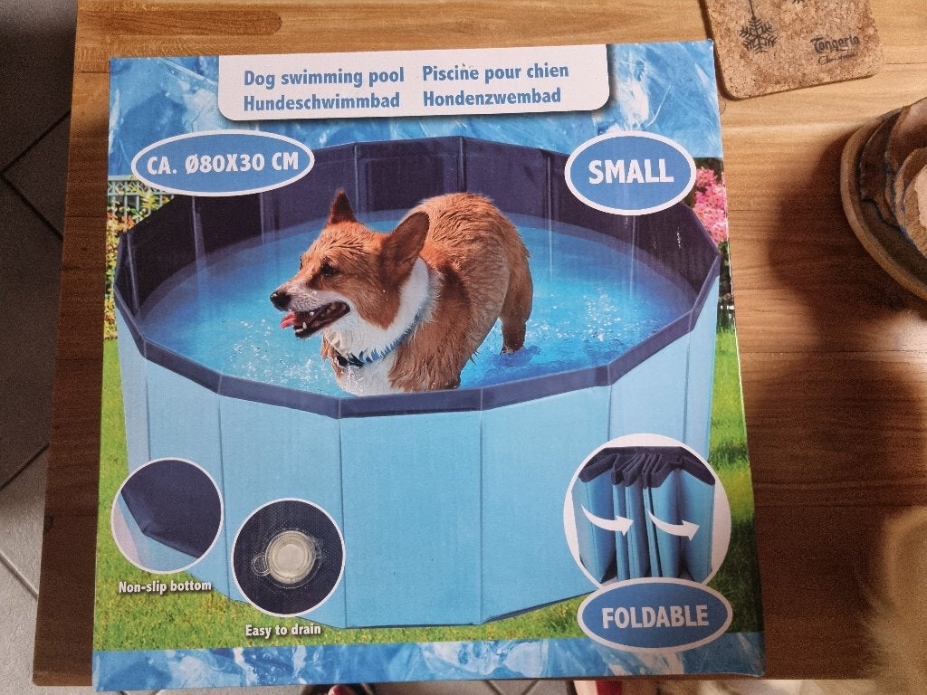 Petite piscine pour chiens (80 cm), Enlèvement ou Envoi, Neuf