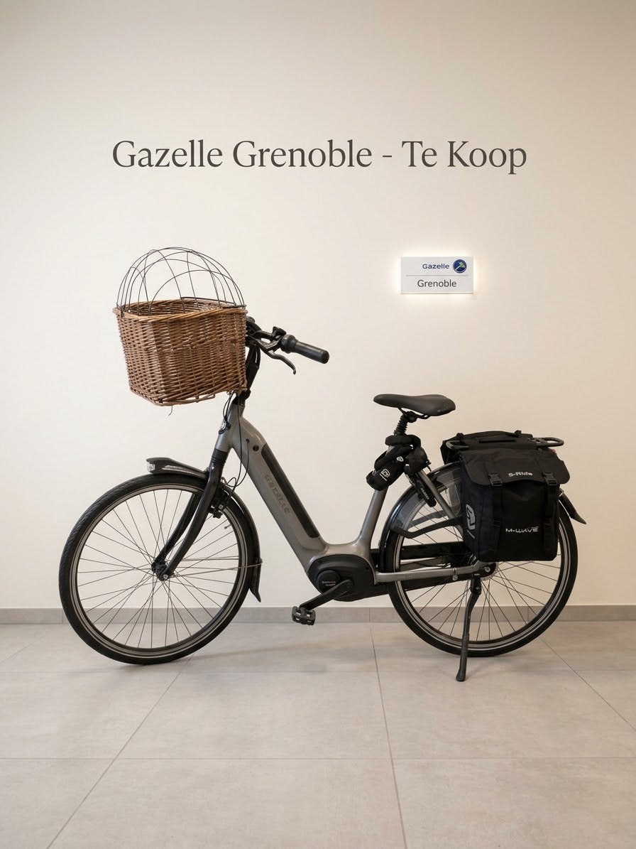 TE KOOP: Gazelle Grenoble C8 HMB (Elektrische damesfiets), 51 tot 55 cm, Ophalen, Zo goed als nieuw, Gazelle