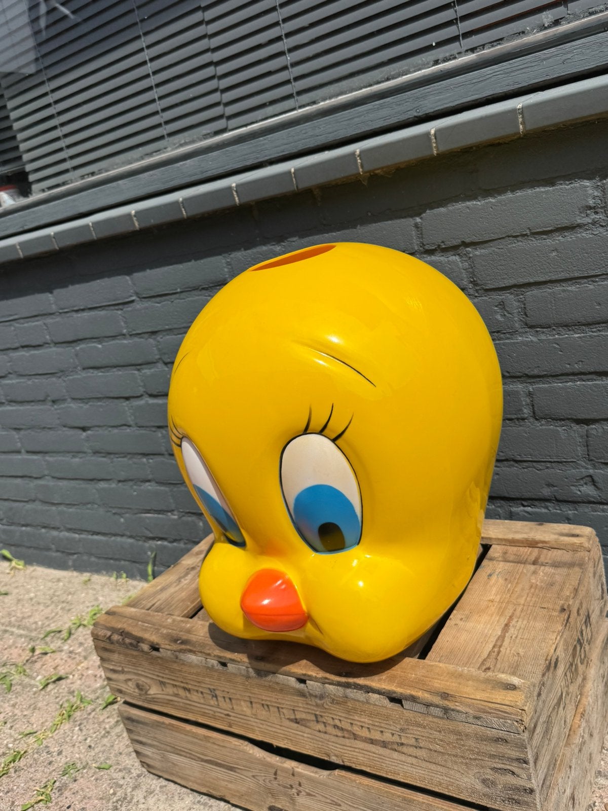 Tweety Looney Tunes hoofd / lamp XL, Verzamelen, Ophalen, Looney Tunes, Gebruikt, Gebruiksvoorwerp