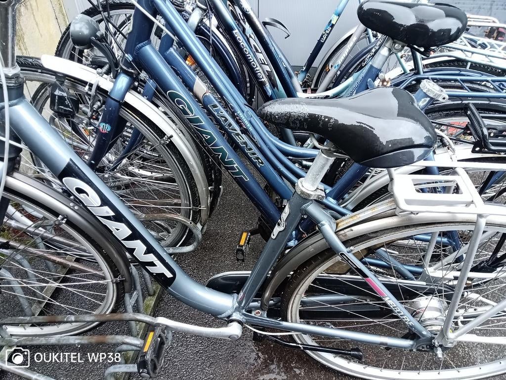 PRINTEMPS - ACTION : Lot de vélos - AUCUNE pièce à vendre -, Vitesses, Frein sur jante, Giant, Enlèvement
