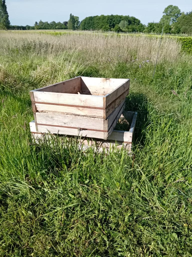 Gratis brandhout af te halen, Ophalen