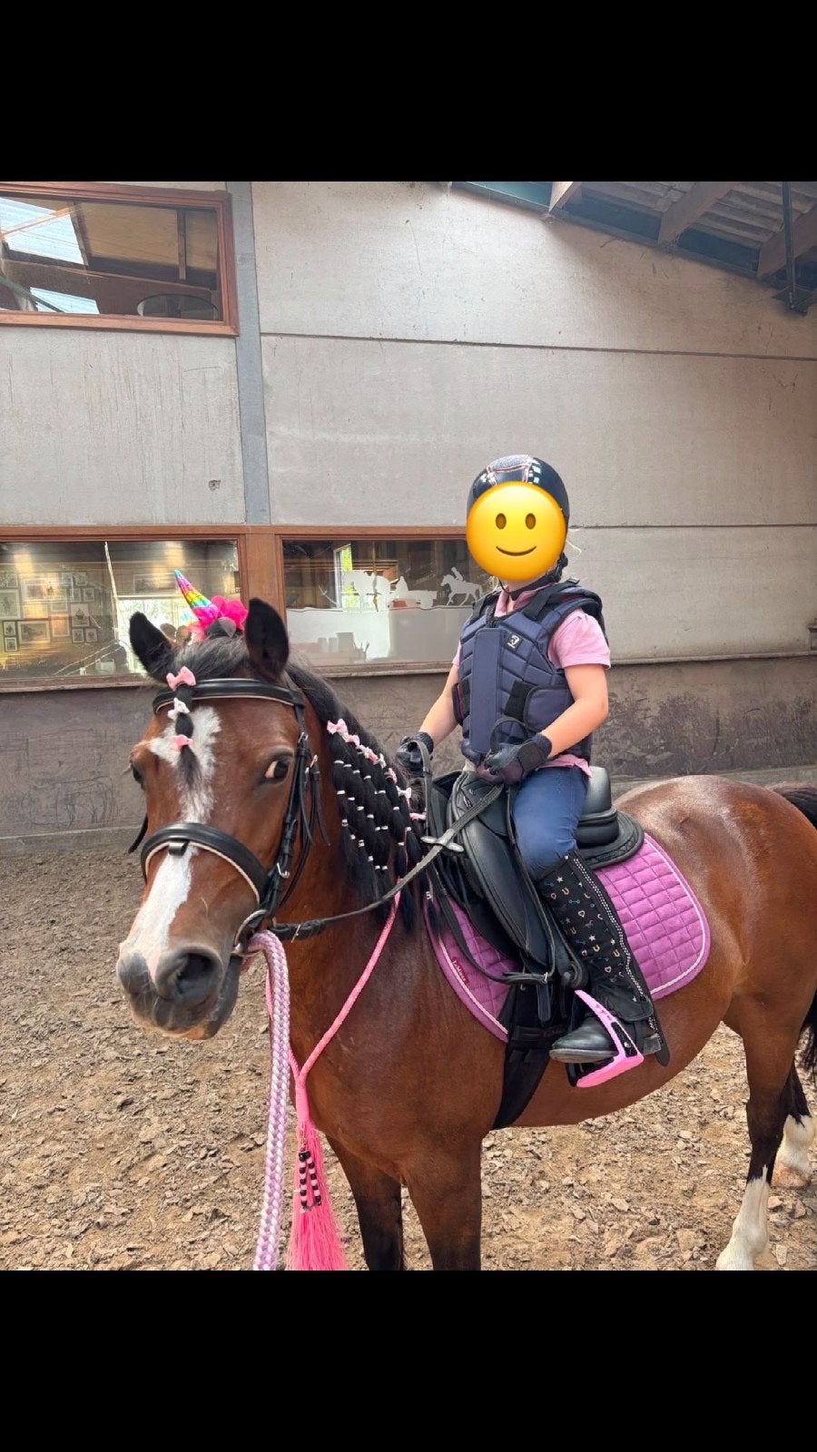 A pony te koop, Dieren en Toebehoren, Merrie, Met stamboom, Zadelmak, A pony (tot 1.17m)