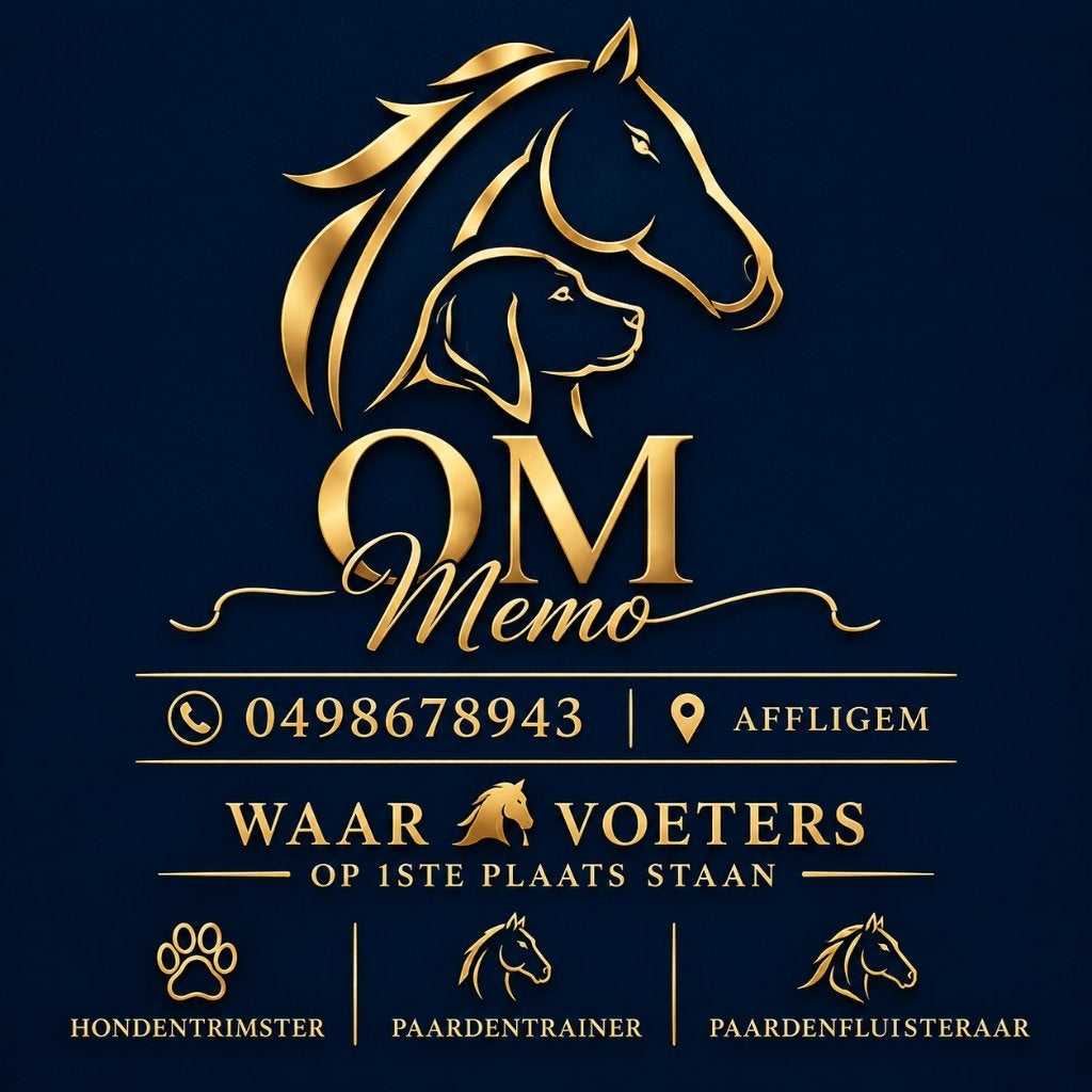 Paardentraining, Paardenfluisteraar & Rijlessen