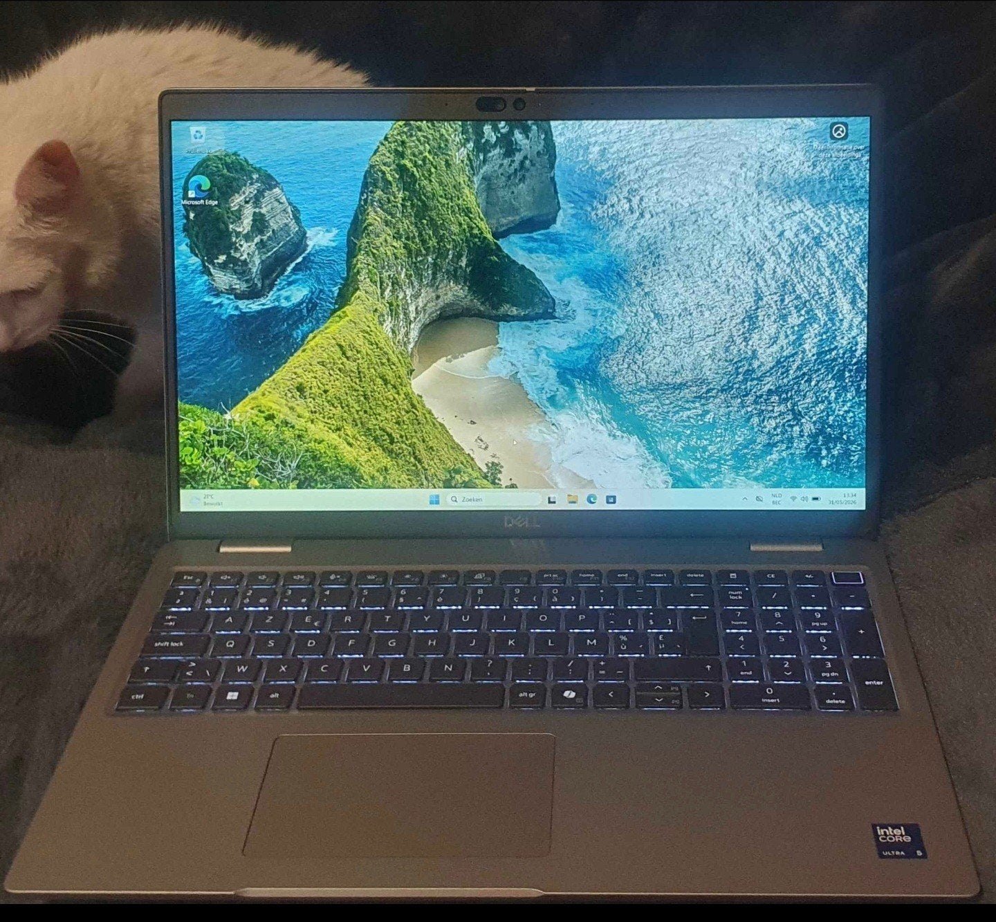 Dell latitude 5550 ultra 5 135u 512/16 r5 Win11 pro Azerty, Ophalen of Verzenden, Azerty, SSD