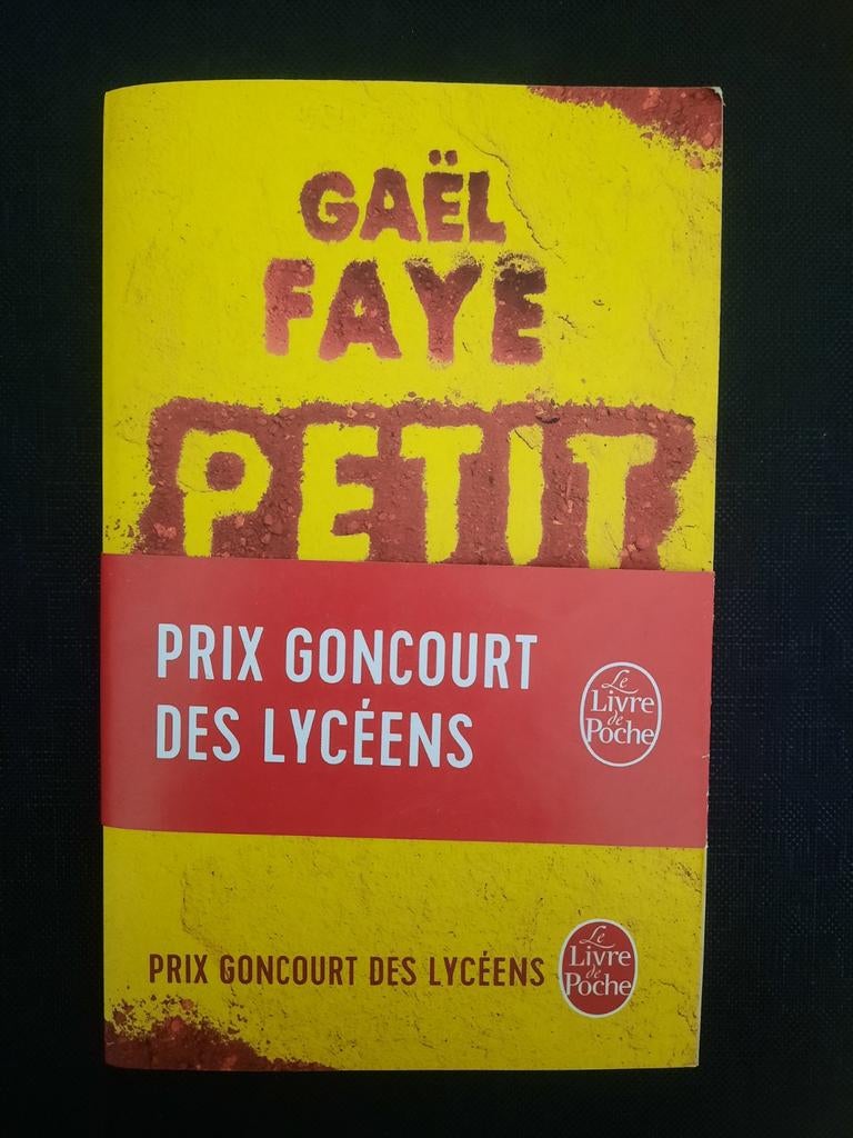 Petit Pays, Enlèvement