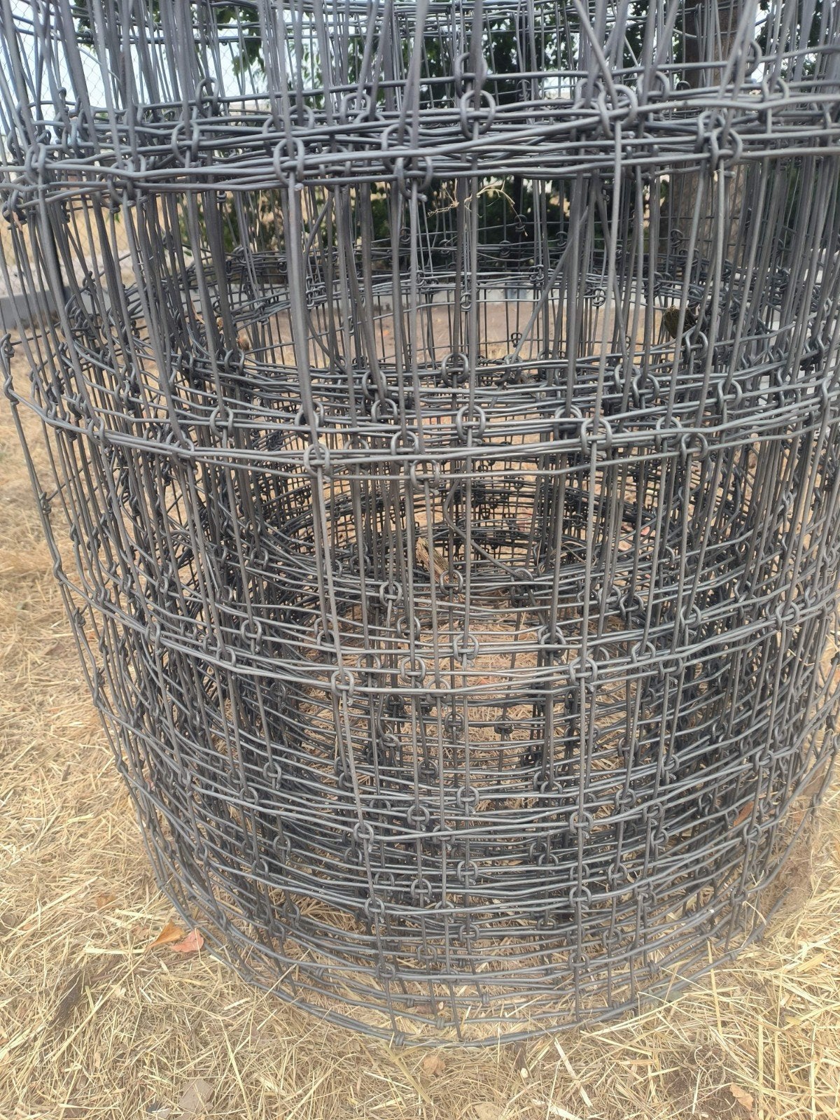 Fil de mouton 80 cm, Enlèvement, Utilisé, 20 mètres ou plus, Treillis
