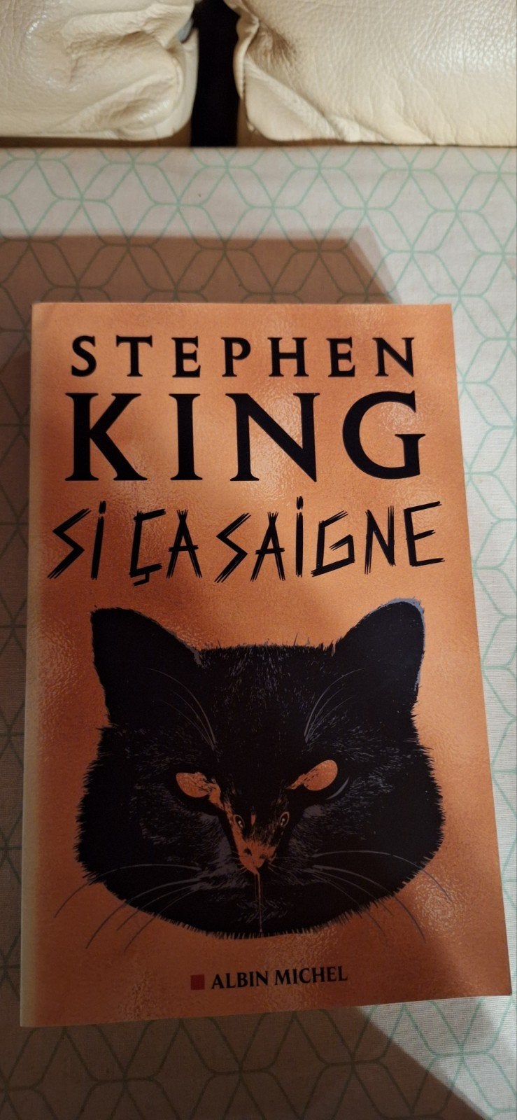 Stephen King - 9782226451057, Livres, Enlèvement, Stephen King