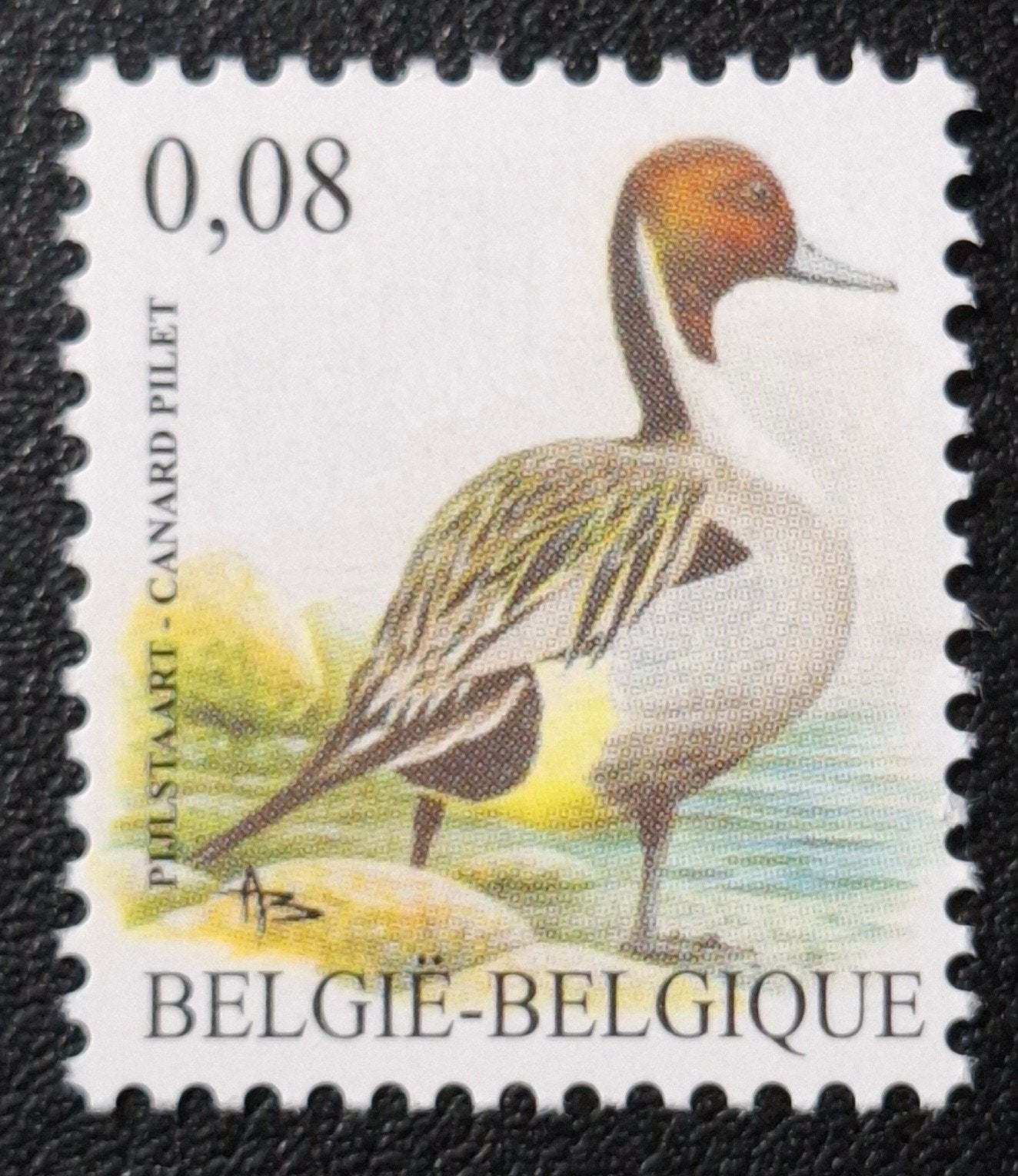 België: OBP 4091 ** Vogels 2011., Frankeerzegel, Ophalen of Verzenden, Zonder stempel, Postfris