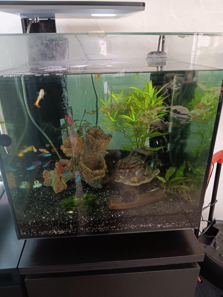 Kubus aquarium, Dieren en Toebehoren, Vissen | Aquaria en Toebehoren, Ophalen, Gebruikt, Leeg aquarium