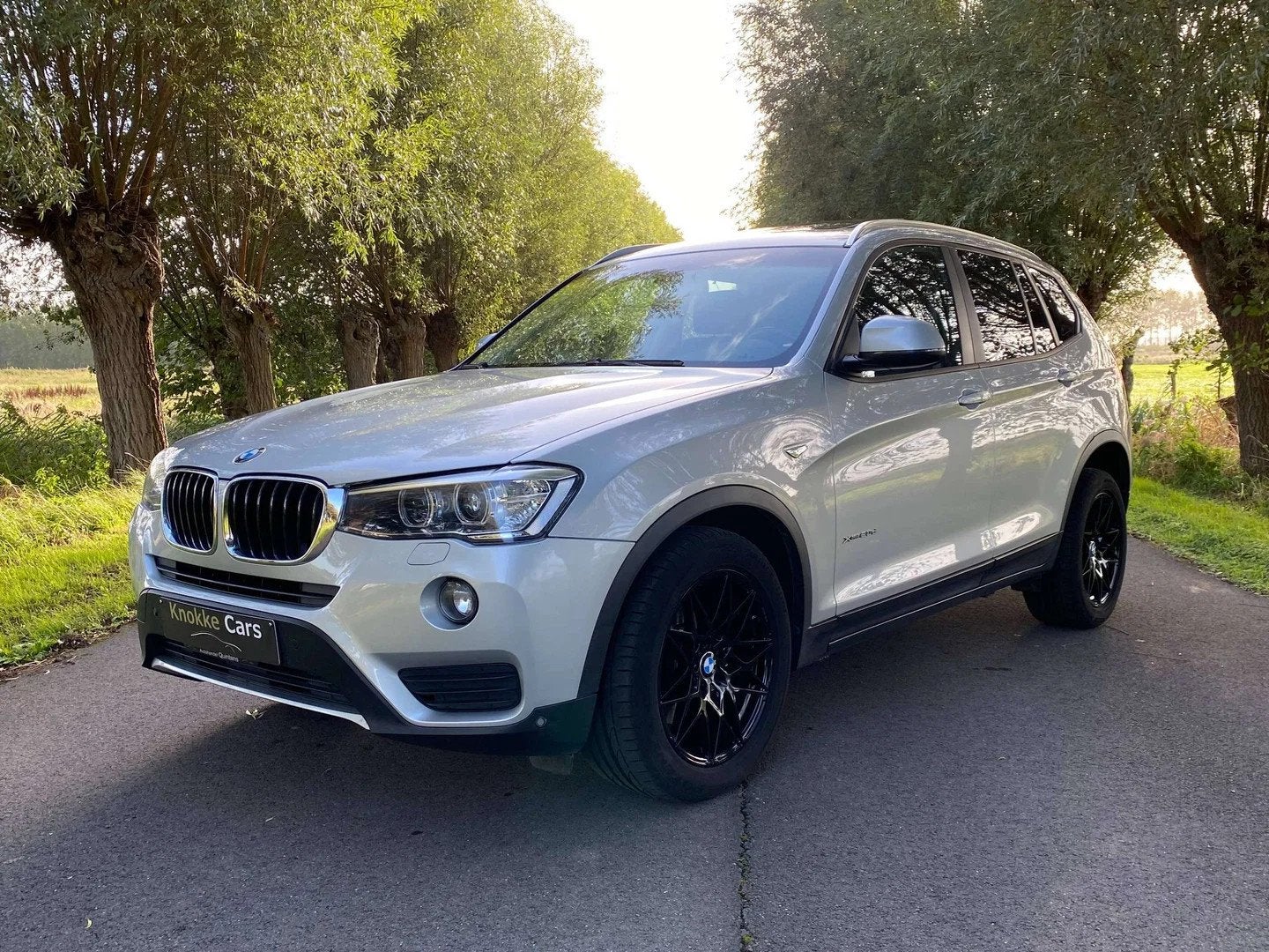 BMW X3 2.0 d xDrive20,Leder,Trekhaak,4X4,panoramisch open da, Auto's, 4 cilinders, Leder, Bedrijf, 5 deurs