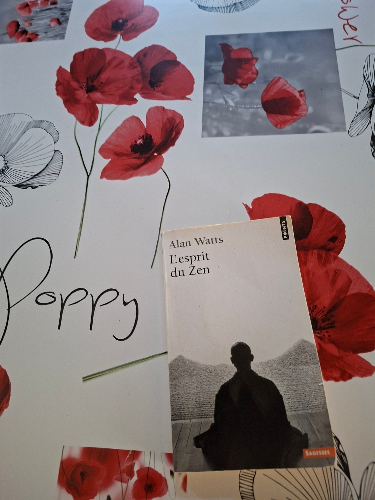 Alan Watts. De geest van Zen., Ophalen of Verzenden