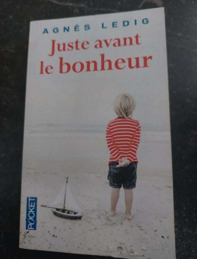 Juste avant le bonheur de Agnès Ledig, Boeken, Gelezen