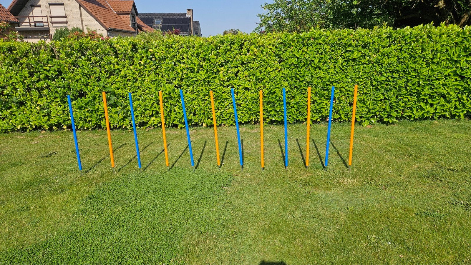 Slalom agility, Animaux & Accessoires